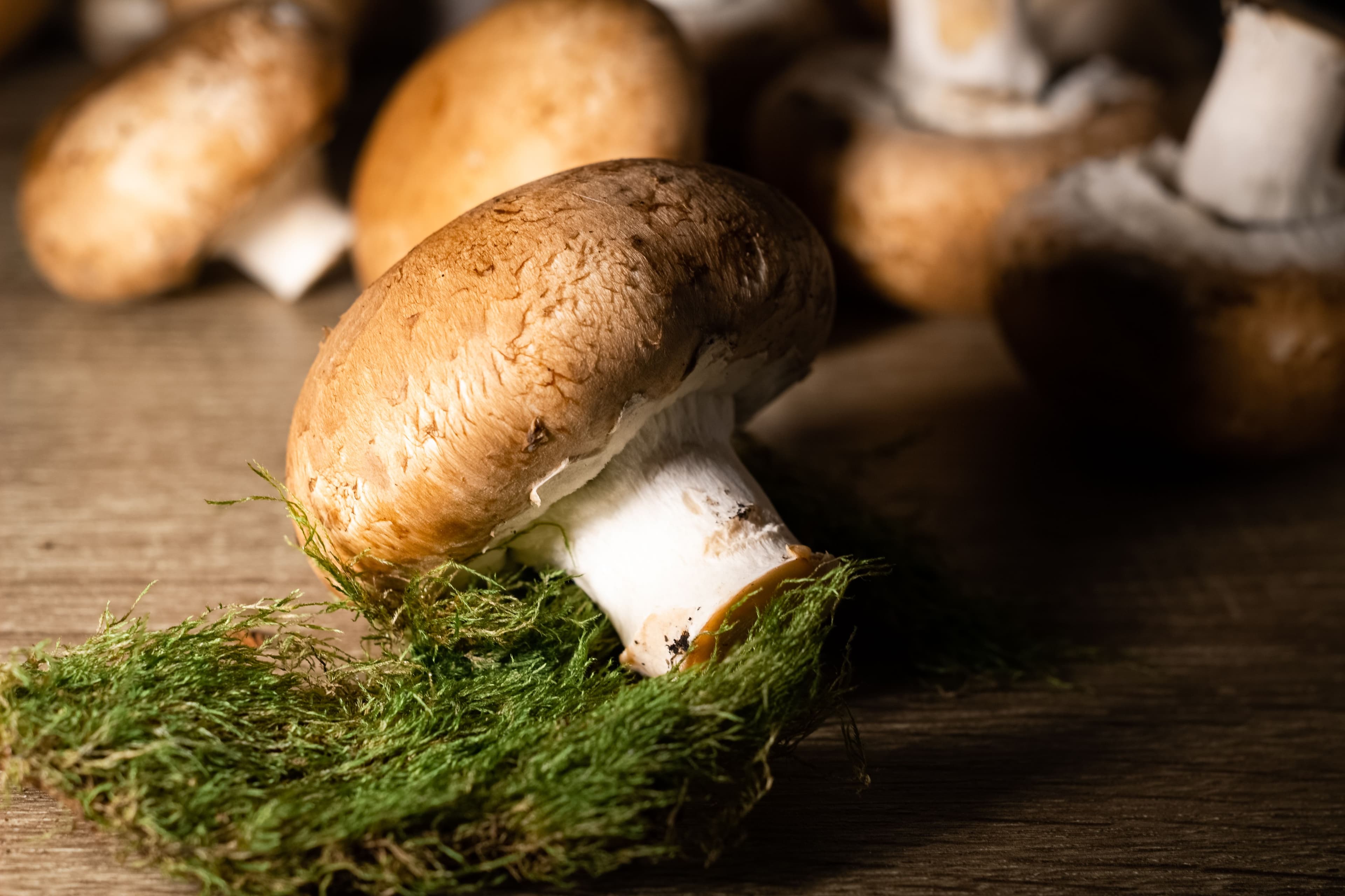Mushrooms